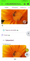 MOBILE-4660_section_subsections.png