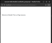 Page Display PopUP.png