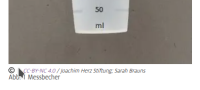 3ba59490ed4656c3.png