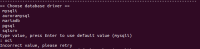 83172_installdboptions_cli.png