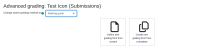 Assignment-AdvancedGrading-MarkingGuide-createNewTemplate.png