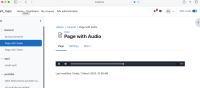 MDL-84165 - macOS Safari Audio .png