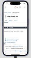 MDL-84165 - iPhone Safari Audio .png