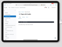 MDL-84165 - iPad Safari Audio .png
