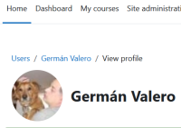 MDLQA-19836 user with gravatar image.png