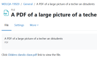 MDLQA-19920 link to PDF displayed and file description.png