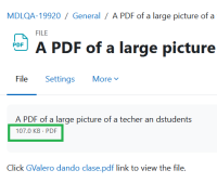 MDLQA-19920 link to PDF displayed and file size and type.png