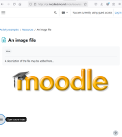 image_file_visible_and_accessible.png