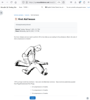 lesson_accessible_also_questions.png
