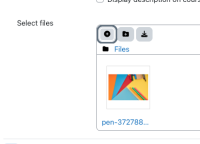 Step 5 - a file from a different course was able to be added into other course File activity.png