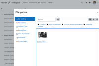 Step 3 - Files used within the course are able to be viewed.png