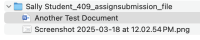 Step 15 - Additional FIle Added.png