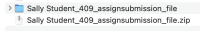 Step 16 - Folder Compressed.png