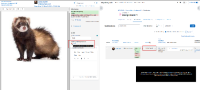 (1) 6 Passed -- (Main)MDL-80984.png