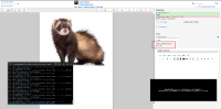 (2) 5 Passed -- (Main)MDL-80984.png