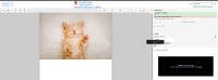 (1) 13 Passed -- (Main)MDL-85087.png