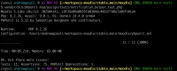 85038 peer review - phpunit.png