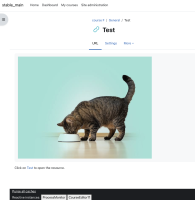 85229 peer review - display URL description YES.png