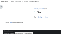 85229 peer review - display URL description NO.png