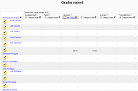 grader report IE6.png