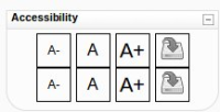 accessibility_double_bug.jpg