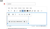 video-moodle-405.png