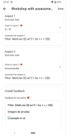 MOBILE-4647_workshopStudent_Assessment_app.png