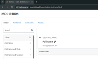 MDL-84804 - Editor.png