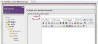 custom theme with 800 x 600 px screen.jpg