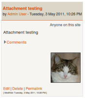 blog entry.png