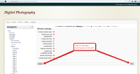 restore ui - cancel next.png