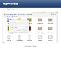 06-my-private-files-context-menu-folder-edit.jpg