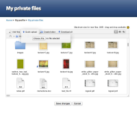 07a-my-private-files-quick-upload-safari.jpg