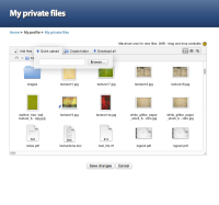 07b-my-private-files-quick-upload-firefox.jpg