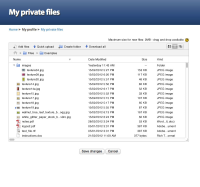 09b-my-private-files-list-view-expanded.jpg