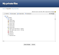 10a-my-private-files-tree-view-collapsed.jpg