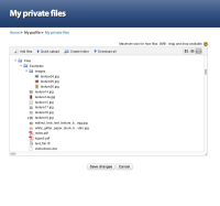 10b-my-private-files-tree-view-expanded.jpg