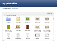 02b-my-private-files-thumbnail-view-student-view.jpg