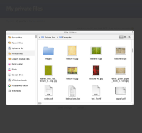 11-file-picker-private-files-tumbnail-view.jpg