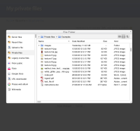 14a-file-picker-private-files-list-view-collapsed.jpg