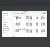 14b-file-picker-private-files-list-view-expanded.jpg