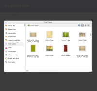 19b-file-picker-flickrpublic-result.jpg