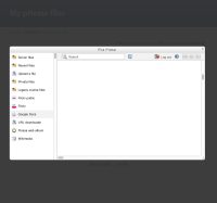 21b-file-picker-google-search.jpg