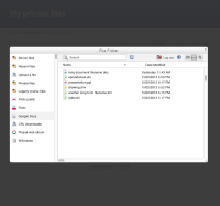 21d-file-picker-google-search-result.jpg