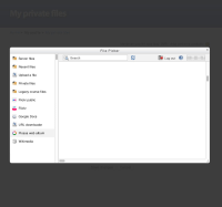 23b-file-picker-picasa-search.jpg