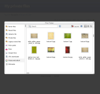 23c-file-picker-picasa-search-result.jpg