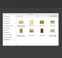 24b-file-picker-wikimedia-search-result.jpg
