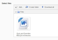What I actually see in the file manager form element.jpg