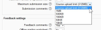 additional option in activity.jpg
