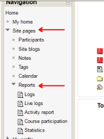 access_to_reports.png